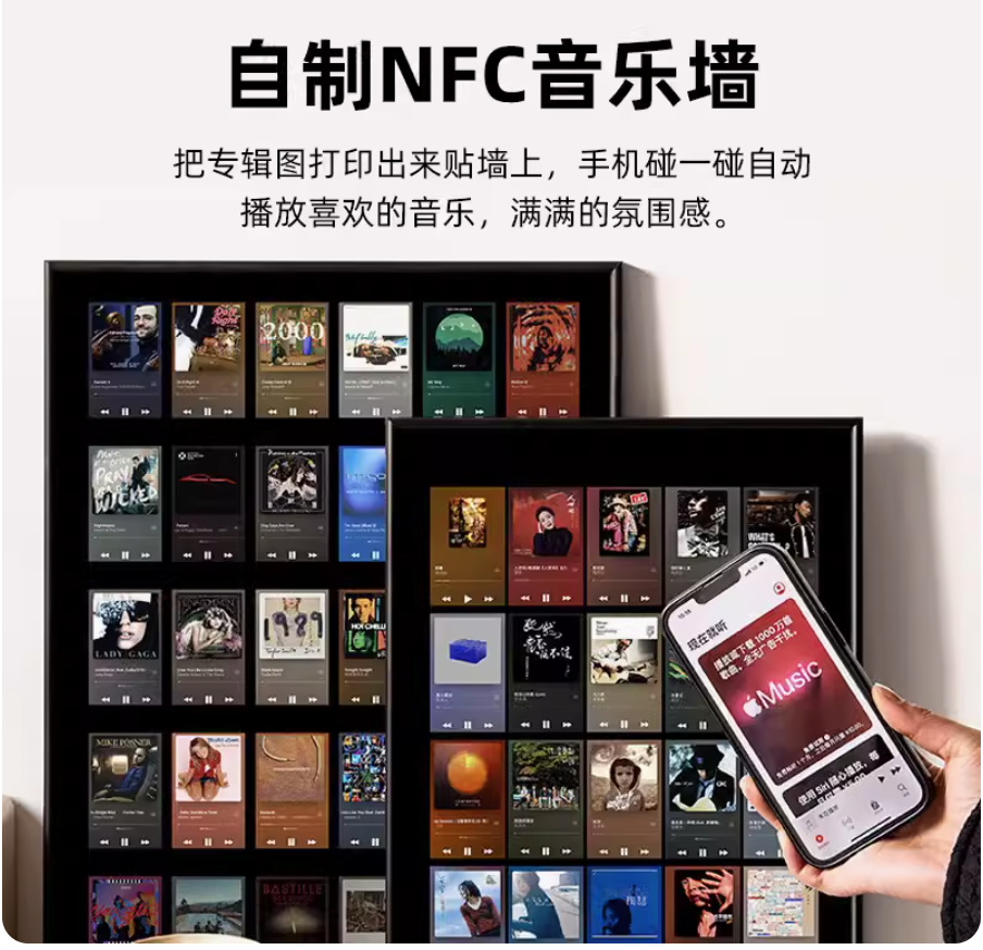 prod_RFID-tags-nfc213_2