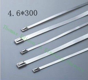 [2024718317-CN] 100pcs 4.6mmx300mm自锁不锈钢拉链拉链拉链锁定绑带高质量
