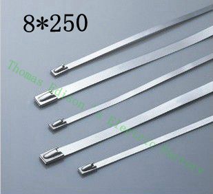 [2024740618-CN] 高质量100pcs 8mmx250mm自锁不锈钢拉链拉链拉链领带包裹