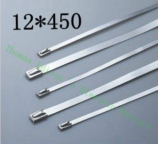 [2024783107-CN] 高质量100pcs 12mmx450mm自锁不锈钢拉链拉链拉链领带包裹