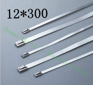 [2024787672-CN] 高质量100pcs 12mmx300mm自锁不锈钢拉链拉链拉链领带包裹
