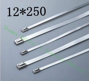 [2024799349-CN] 高质量100pcs 12mmx250mm自锁自锁不锈钢拉链拉链拉链领带包裹