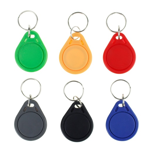 [32819548164-CN] 100pcs 13.56MHz RFID钥匙串密钥FOB MF MF 1K IC NFC KEYFOBS接近智能门AC的钥匙标签卡