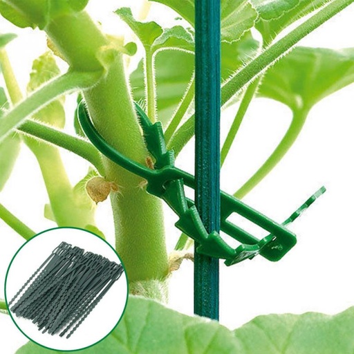 [32873452276-CN] 50pcs/袋50X可重复使用的花园塑料植物电缆扎带可调式树木支撑花园