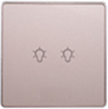 [WS-ZSWSG2-CN] 智能壁开关（WS-ZSWSG2）